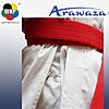 Kimono Karate Kata Deluxe Evo Combo Set - Premier League - red - blue