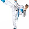 Kimono Karate-Tokaido Kumite Master K1 - Premiere League