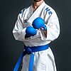 Kimono Karate Tokaido Kumite Master K1 - Premiere League-blue