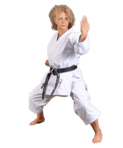 Kimono karate-gi Kaiten Saizen Nami