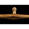 Tonfa Kamikaze Professional Kobudo oak-round - pair