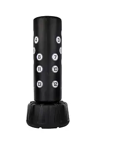 Wavemaster 2XL-PRO with Century strike zones