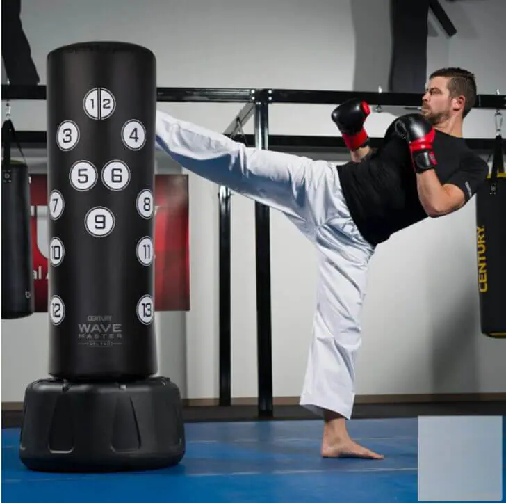 Wavemaster 2XL PRO with Century strike zones - Image 4