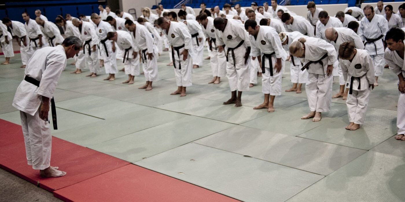 Karate-gi
