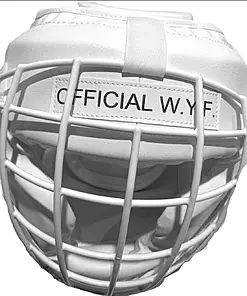 NORIS Yoseikan Budo helmet metal-wyk grille