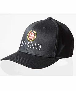 cap-seishin-international-baseballcap