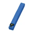 ceinture judo rb mizuno bleue