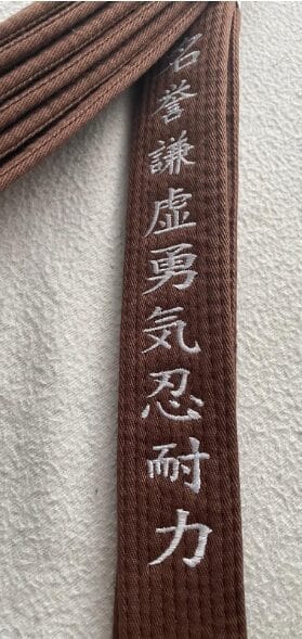 Karate-gi
