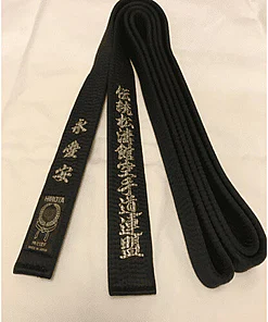 HIROTA karate black belt in natural silk - Extra-large