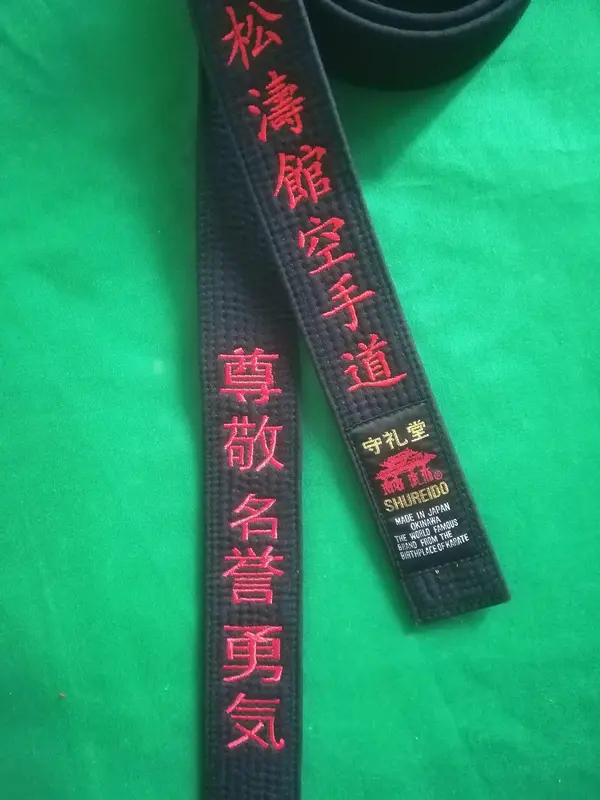 Karate-gi