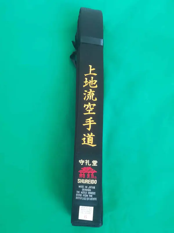 Karate-gi