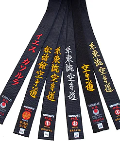 belt-black-kamikaze-satin-or-cotton-fan-broderies-labels-style-karate