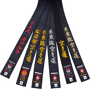 Karate Black Belts