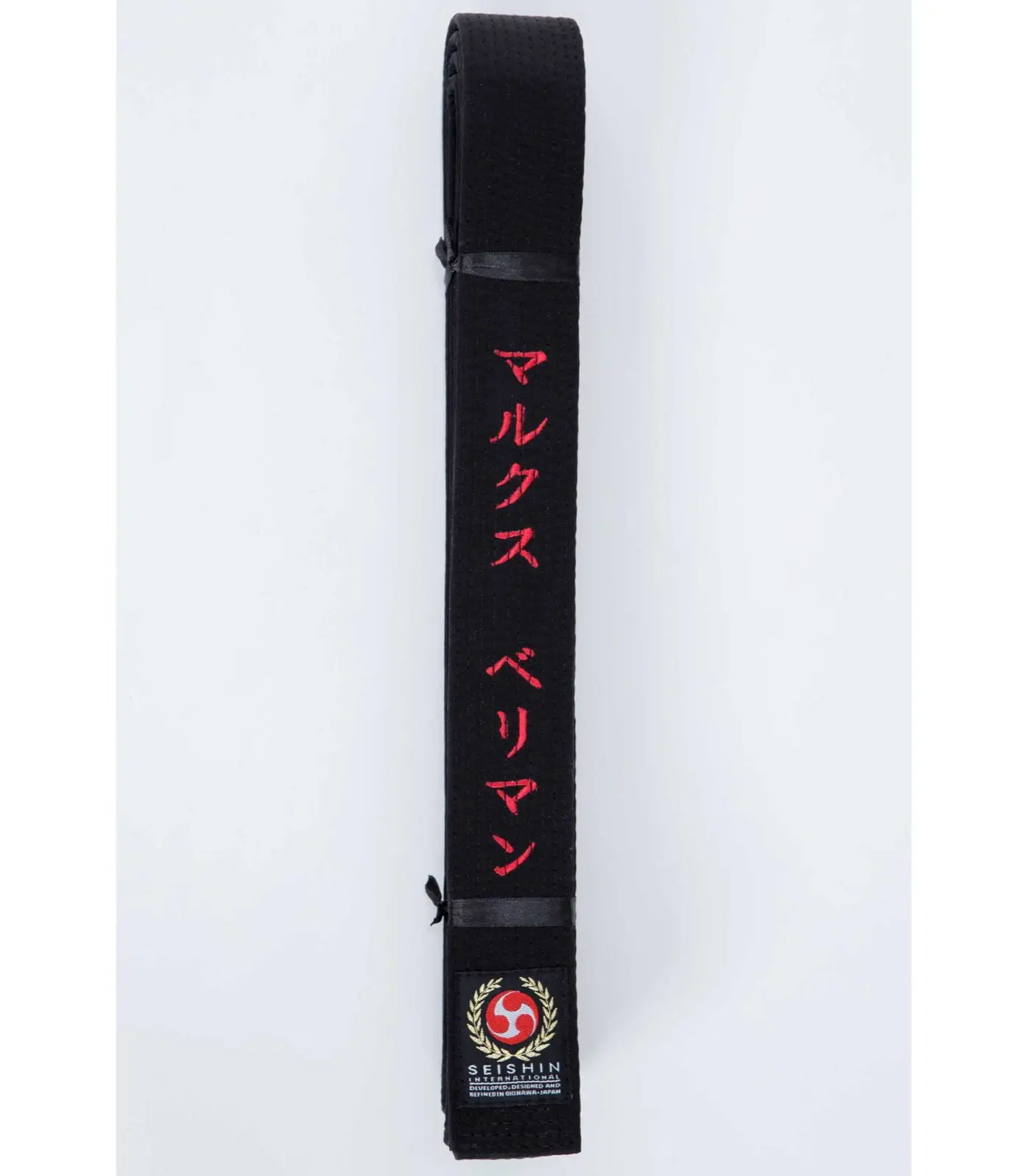 black-belt-karate-seishin above