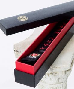 black-belt-karate-seishin-international-in-luxury-box