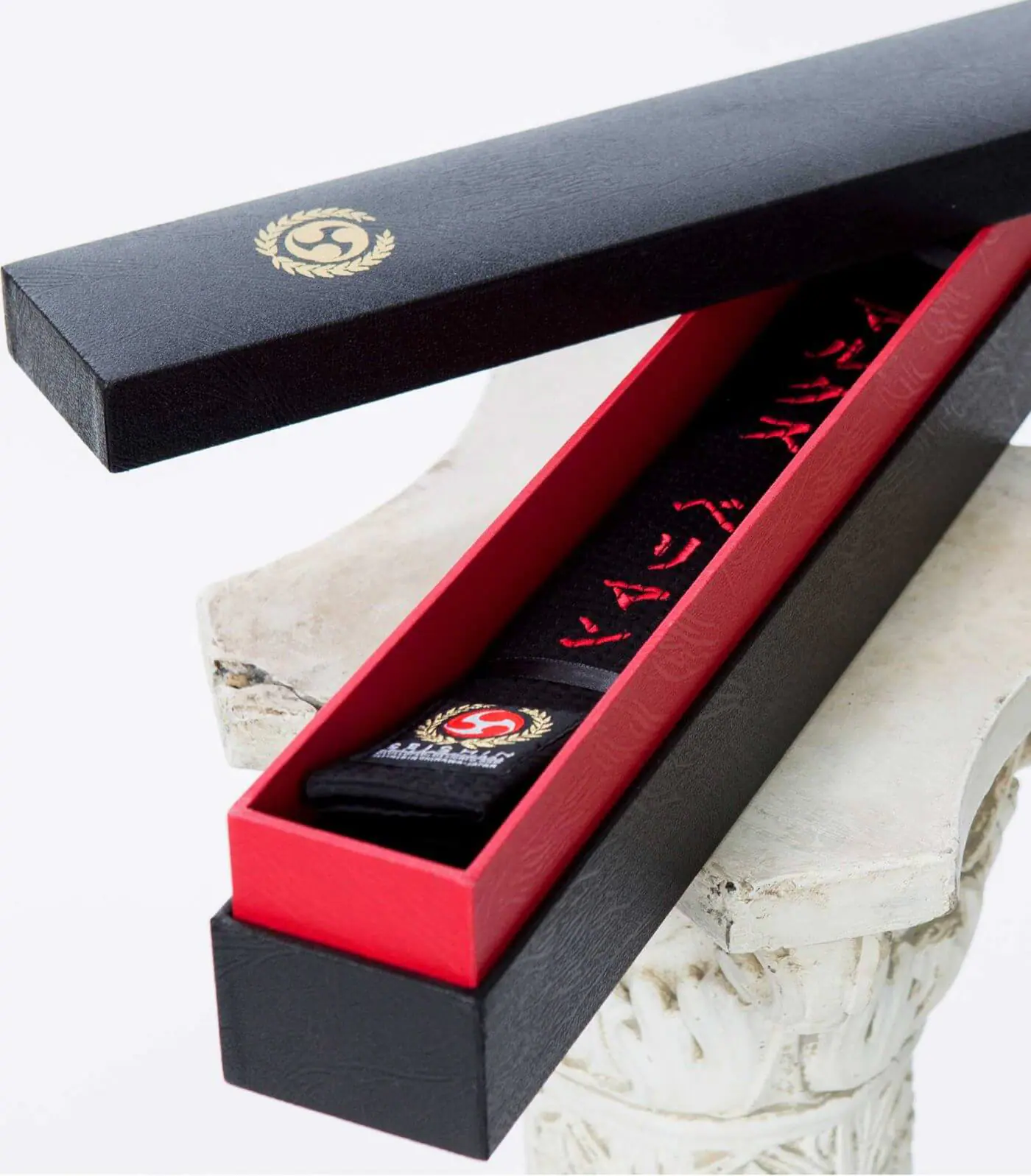 black-belt-karate-seishin-international-in-luxury-box
