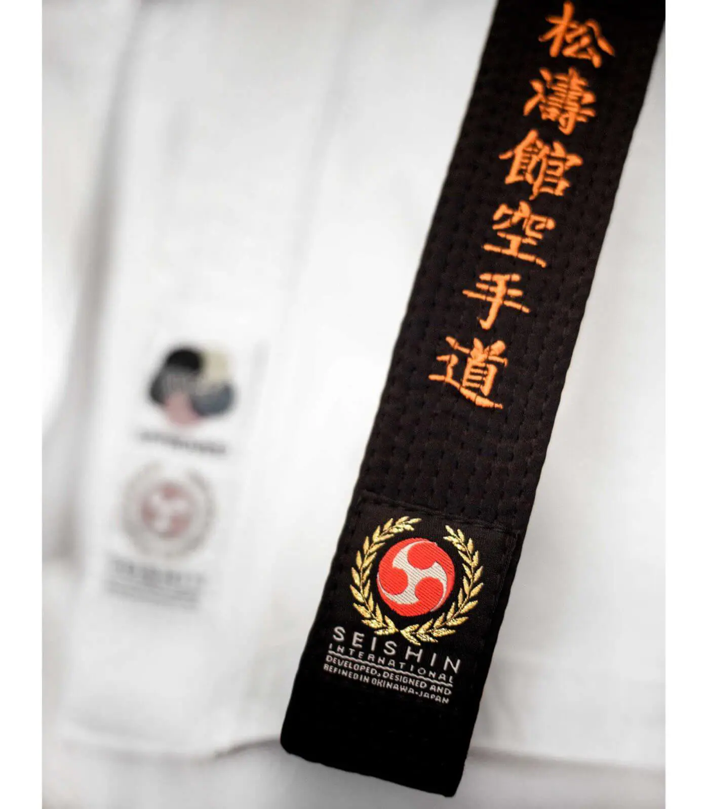 ceinture-noire-karate-seishin-international-zoom