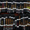 belt-black-karate-shureido-cotton-satin-embroideries