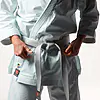 belt-shoshin,
