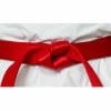 competition-belts-seishin-international-wkf-red-satin