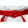 competition-belts-seishin-international-wkf-red-satin