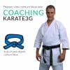 coaching-karate3g-blue-belt-karate-training-in-video