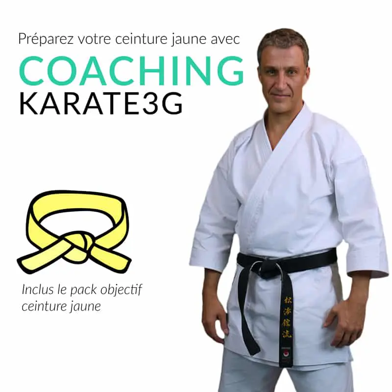 coaching-karate3g-yellow-belt-karate-training-in-video
