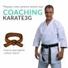 coaching-karate3g-brown-belt-karate-training-in-video