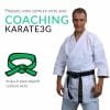 coaching-karate3g-green-belt-karate-training-in-video