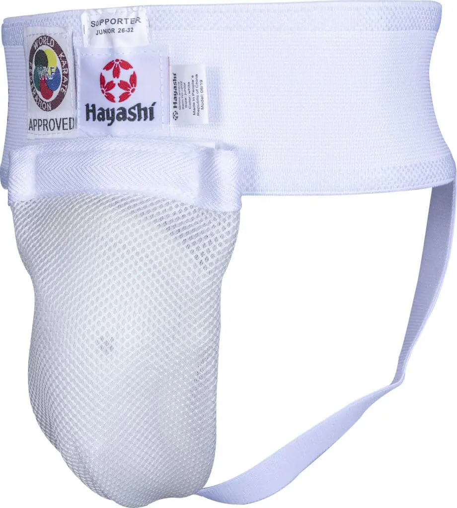 protection-shell-hayashi-