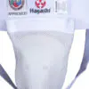 Hayashi protective shell