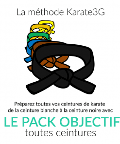 Online Karate lessons White to Black Belt OBJECTIVE PACK Karate3G™ video