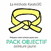 Online Karate lessons Yellow Belt OBJECTIVE PACK Karate3G™ video