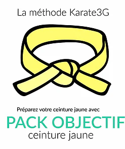 Online Karate lessons Yellow Belt OBJECTIVE PACK Karate3G™ video