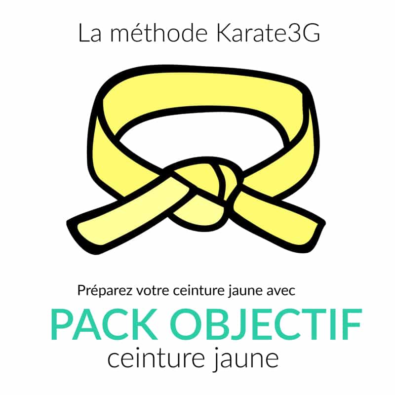 Online Karate lessons Yellow Belt PACK OBJECTIVE Karate3G™ 3 Online Karate lessons Yellow Belt OBJECTIVE PACK Karate3G™ video