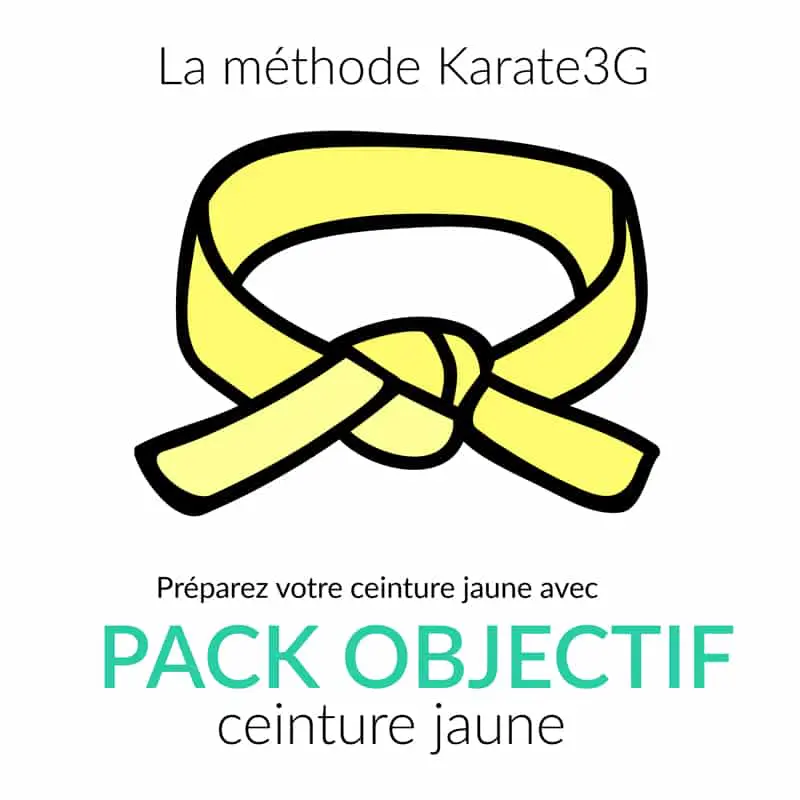Online Karate lessons Yellow Belt OBJECTIVE PACK Karate3G™ video