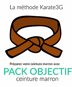 Online Karate lessons Brown Belt OBJECTIVE PACK Karate3G™ video
