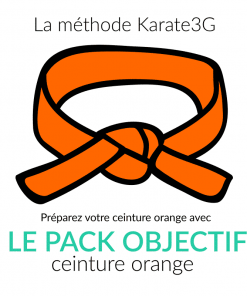 Online Karate lessons Orange Belt OBJECTIVE PACK Karate3G™ video