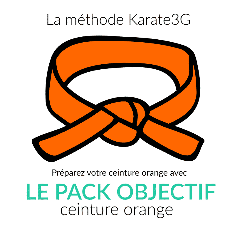 Online Karate lessons Orange Belt OBJECTIVE PACK Karate3G™ video