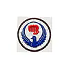 badge-brode-style-karate-wado-ryu