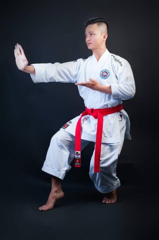 Karate-gi