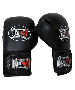 BUDO-FIGHT Patriot Boxing Gloves