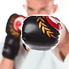 fighting-gloves-seishin