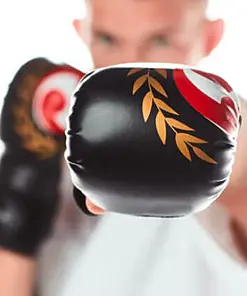 fighting-gloves-seishin