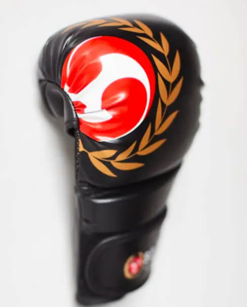 combat-gloves-seishin,
