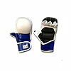 NORIS Yoseikan fighting gloves