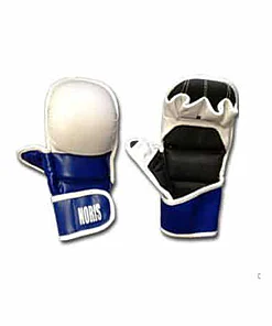 NORIS Yoseikan fighting gloves