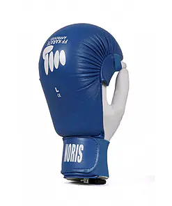 Karate gloves