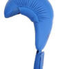 karate-punok-blue-gloves