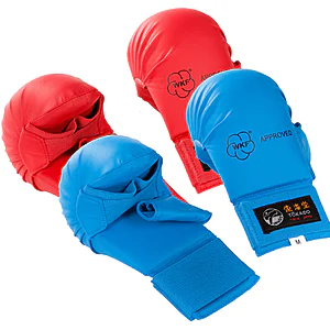Karate gloves / arm guards